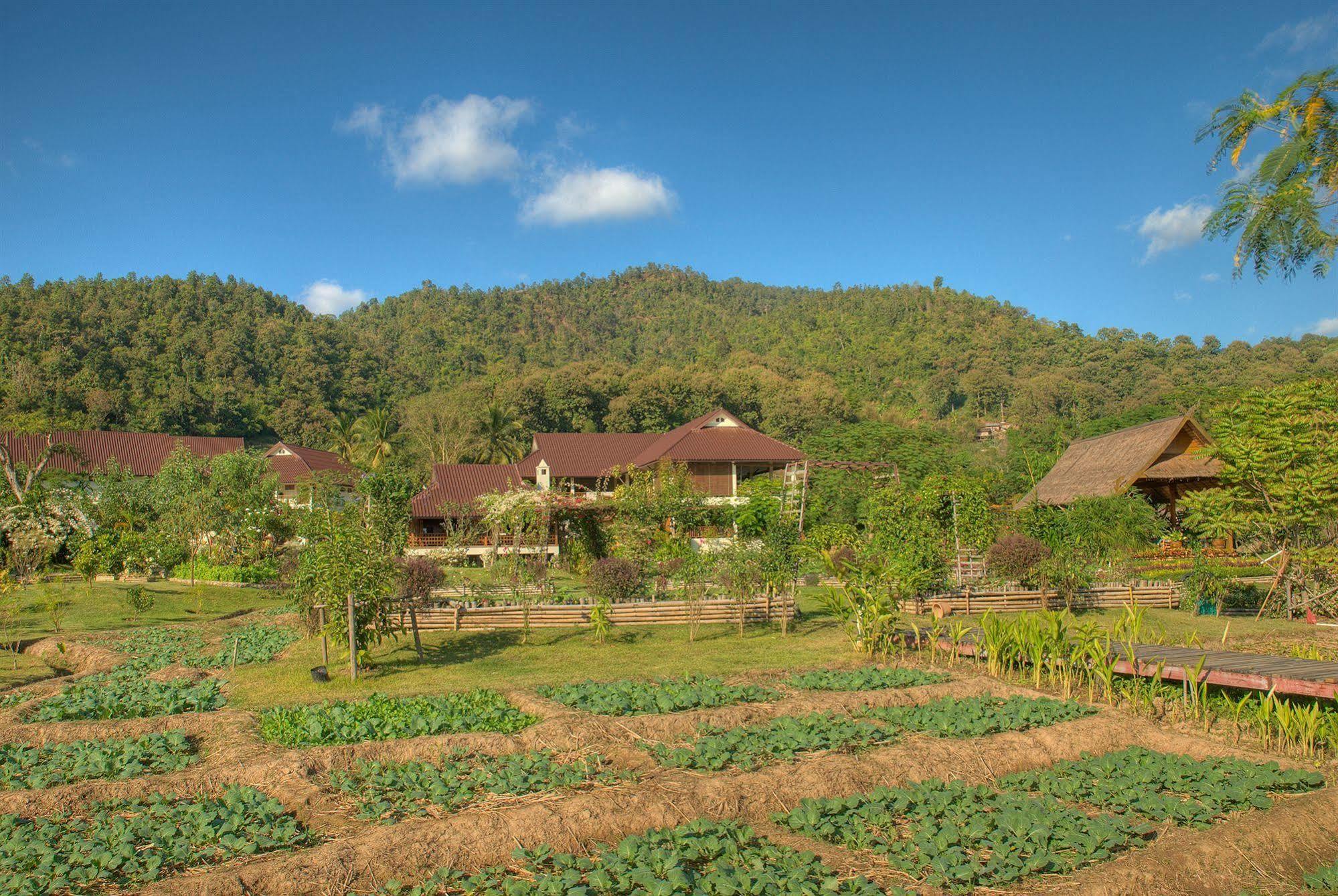 Maekok River Village Resort Mae Ai Exterior foto